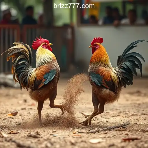 ZZ777.COM platform-Oficial Slots Brasil #1-BONUS6